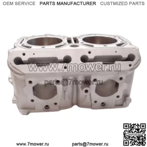 OEM Ski Doo 850 Etec MXZ Freeride Снегоход 6413300 Цилиндр
