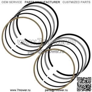 Поршневые кольца для Polaris RZR XP 4 1000  EPS 2021 SidexSide (для: Polaris)