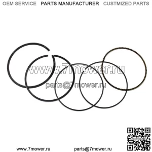 Поршневые кольца подходят для 2-клапанных моделей Honda XR200/R 1980-2002 гг., стандартный диаметр 65,5 мм.