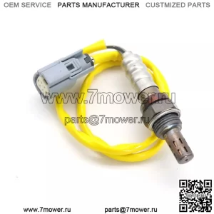 ???ѧ??ڧ? ?ܧڧ?ݧ???է? (?٧ѧէߧڧ?) CN1A-9G444-AA 60CM ?էݧ? Ford EcoSport 1.5L 13