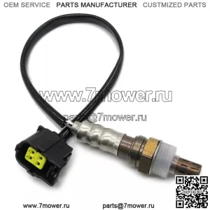 ???ѧ??ڧ? ?ܧڧ?ݧ???է? 234-4217 ?էݧ?Jeep Wrangler 3.6L 2007-2018