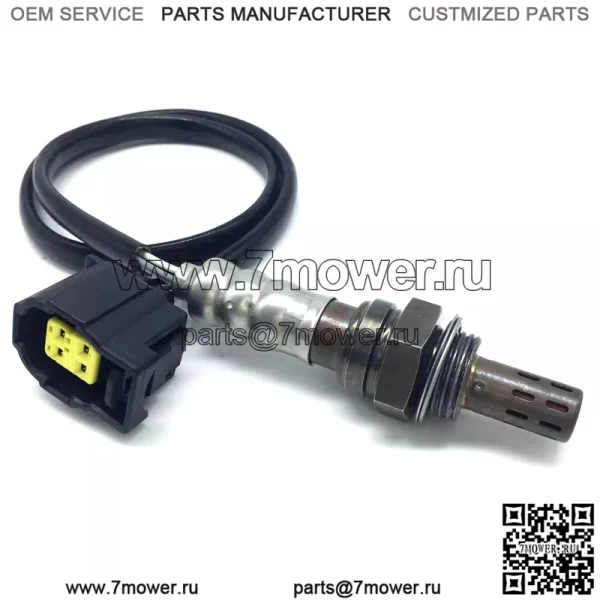 ???ѧ??ڧ? ?ܧڧ?ݧ???է? 234-4217 ?էݧ?Jeep Wrangler 3.6L 2007-2018 - Image 2