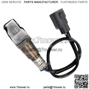 ???ѧ??ڧ? ?ܧڧ?ݧ???է? (??֧?֧էߧڧ?) 06A906262EG 0258010127 650MM ?էݧ? VW Touran 2.0L (2008-2011)